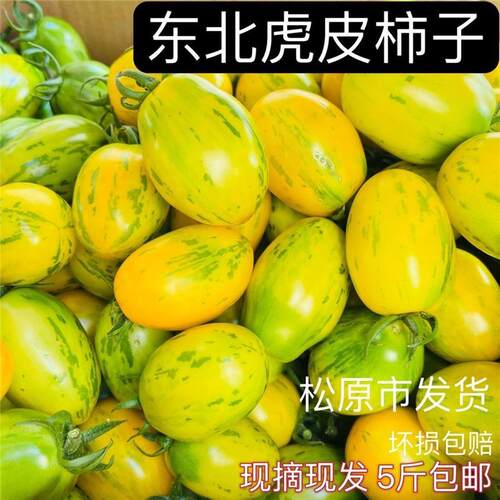 东北皮球柿子虎皮柿子酸甜小番茄花皮球儿童孕妇水果农家绿色特产