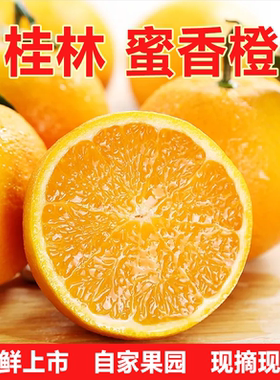 广西桂林蜜香橙纯甜不酸蜂蜜清香橙子超甜现摘新鲜水果比冰糖橙甜