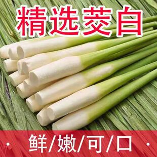 茭白笋水笋新鲜高笋茭白农家高笋鲜嫩高山蔬菜现采加冰发货包邮