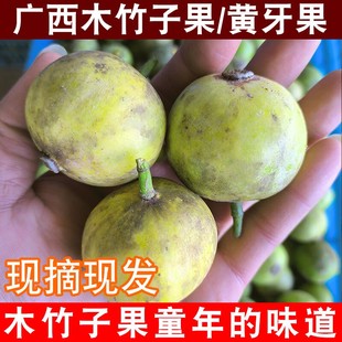 广西新鲜木竹子青果新鲜酸桐子竹桔竹节子黄牙果橘子酸爽果木熟子