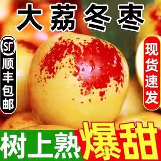 陕西大荔冬枣冰糖甜脆枣大青枣红枣高端新鲜水果特大5斤精品礼盒