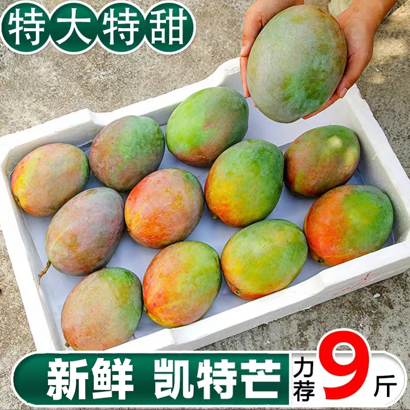 四川凯特芒果新鲜10应季斤水果芒果整箱包邮特大青忙果当季