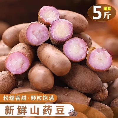 现摘山药豆新鲜糖葫芦河南焦作种植农家正宗宝宝辅食特大号山药蛋