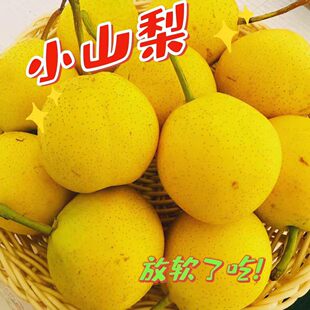 东北新鲜小山梨 酸甜可口 皮薄细瓢 二斤包邮顺丰