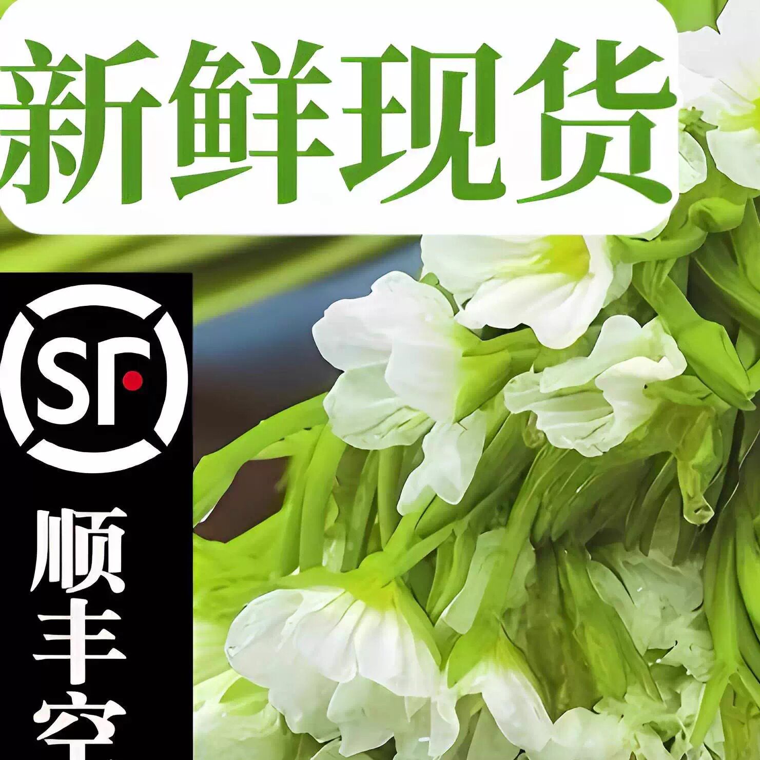 水性杨花新鲜海菜花食用鲜花江特产野菜