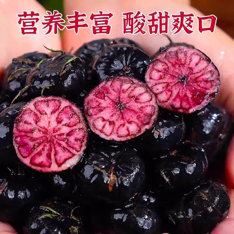 正宗新鲜红果参特大果云南蜘蛛果稀奇算盘水果当季现摘美容红参果