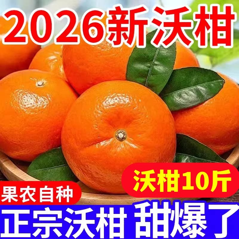 纯甜沃柑10斤橘子新鲜水果当季整箱沙糖蜜桔柑橘桔子直发