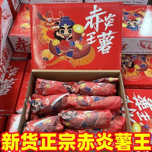 正宗赤炎薯王红薯礼盒装5斤当季新鲜烤番薯粗粮蜜薯黄心地瓜山芋