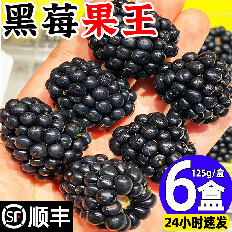 现货空运怡颗莓黑莓鲜果大果当季蓝莓