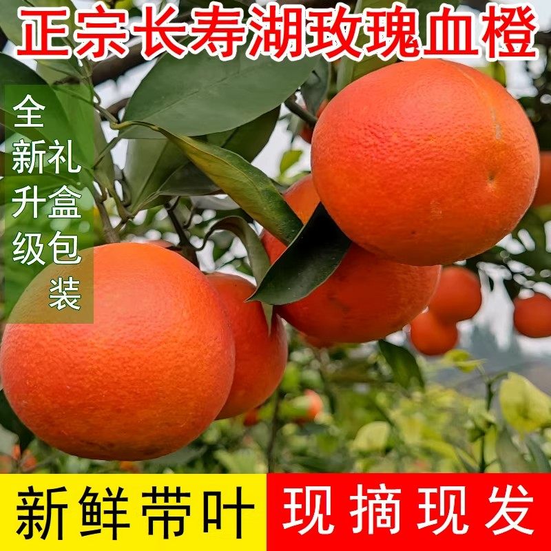 长寿湖现摘玫瑰血橙四川当季新鲜水果红心手剥橙子10斤雪橙,水产肉类/新鲜蔬果/熟食,其它,淘宝优惠券,粉丝福利购,淘宝优惠卷