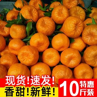 四川椪柑芦柑新鲜柑橘甜丑桔子碰柑整箱应当季孕妇水果包邮