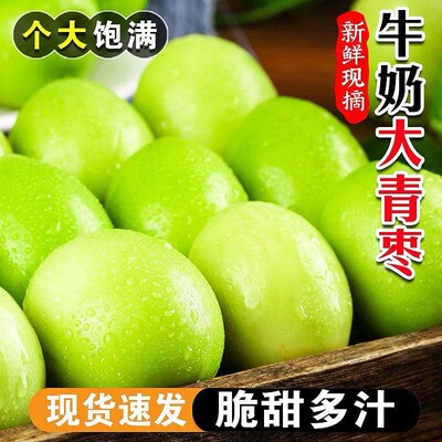 26年新鲜牛奶大青枣新鲜枣子贵妃冬枣时令水果当季整箱苹果脆枣