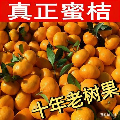 正宗江西蜜桔贡桔现摘当季新鲜薄皮无籽黄皮橘子酸甜口产地南丰