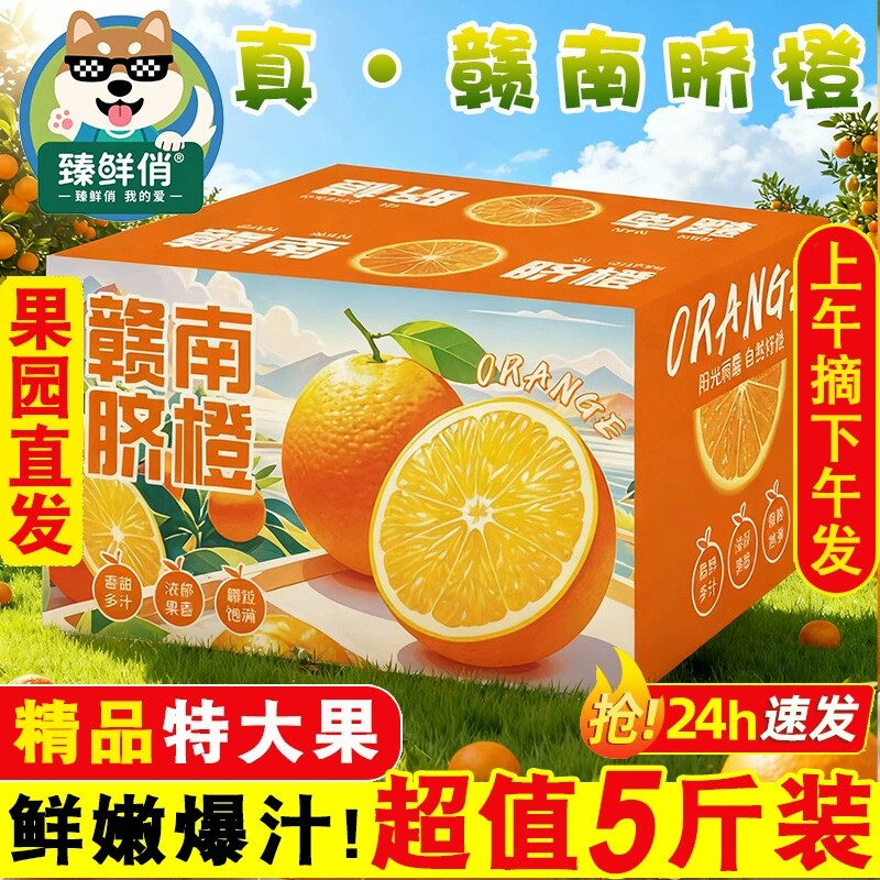 赣南脐橙当季新鲜手剥橙子赣州大橙子礼盒榨汁专用冰糖果冻橙批发图片