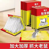 强力夹药胶家用一窝端捕鼠神器超强粘强超厚老鼠灭鼠魔毯粘鼠板