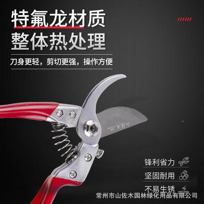 V枝9园多林工具剪树/枝修枝剪园林修枝户剪外规格果树剪树枝剪
