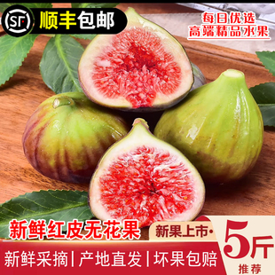 【顺丰包邮】云南新鲜红皮无花果云南精选大果现摘当季时令鲜果孕