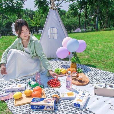 户外野餐垫防水防潮坐垫布露营野炊帐篷加厚可携式地垫春游草坪垫