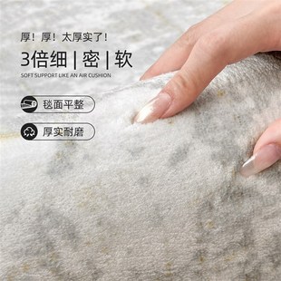 免洗可擦轻奢高级感灰色意式 地毯客厅2025新款 沙发茶几地垫大面积