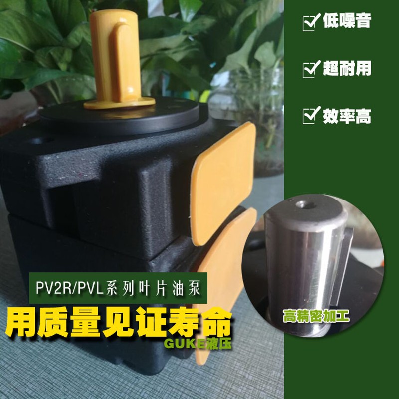 注塑机叶片泵PV2R1-12/14/19/23/28/31双联泵压力泵高性能低噪音