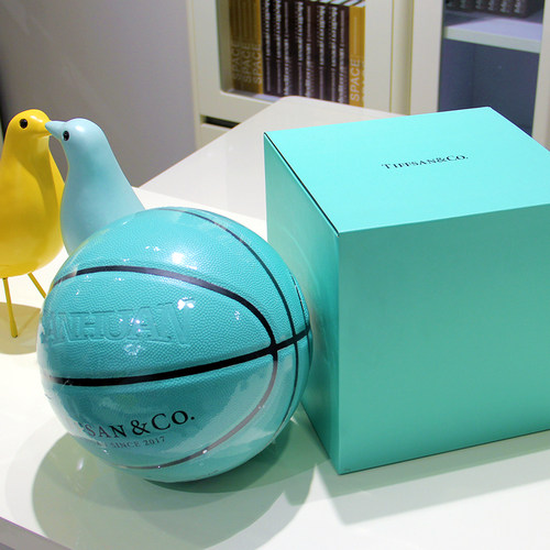 三环篮球标准训练比赛专业耐磨