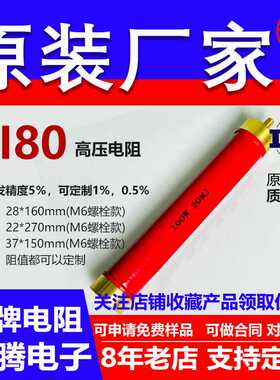 RI80玻璃釉大红袍铜脚高频无感高压电阻100W10M12M15M18M20M兆欧