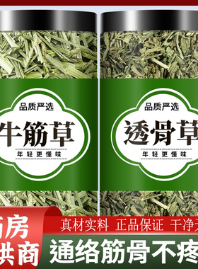 透骨草牛筋草中药材正品旗舰店泡脚的功效与作用新鲜干货牛顿根草