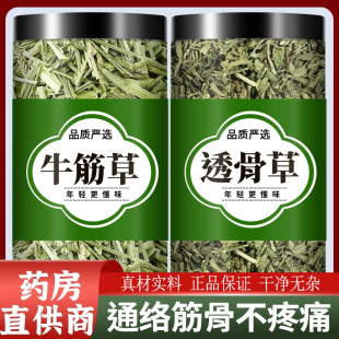 透骨草牛筋草中药材正品旗舰店泡脚的功效与作用新鲜干货牛顿根草