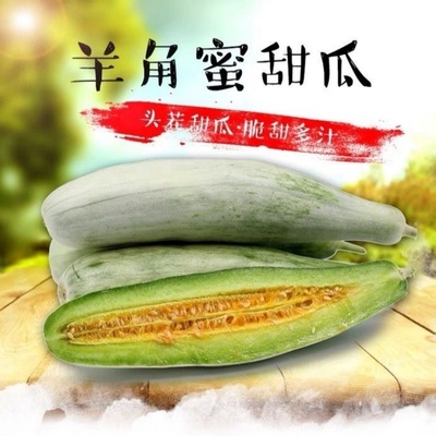 当季新鲜水果山东羊角蜜甜瓜包邮