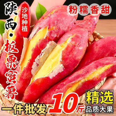 板栗红薯10斤粉面新鲜沙地蜜薯板栗红薯地瓜香薯山芋农家自种现挖
