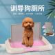 泰迪狗厕所小号小型犬金毛大号狗便盆中型大型犬狗狗尿盆宠物用品