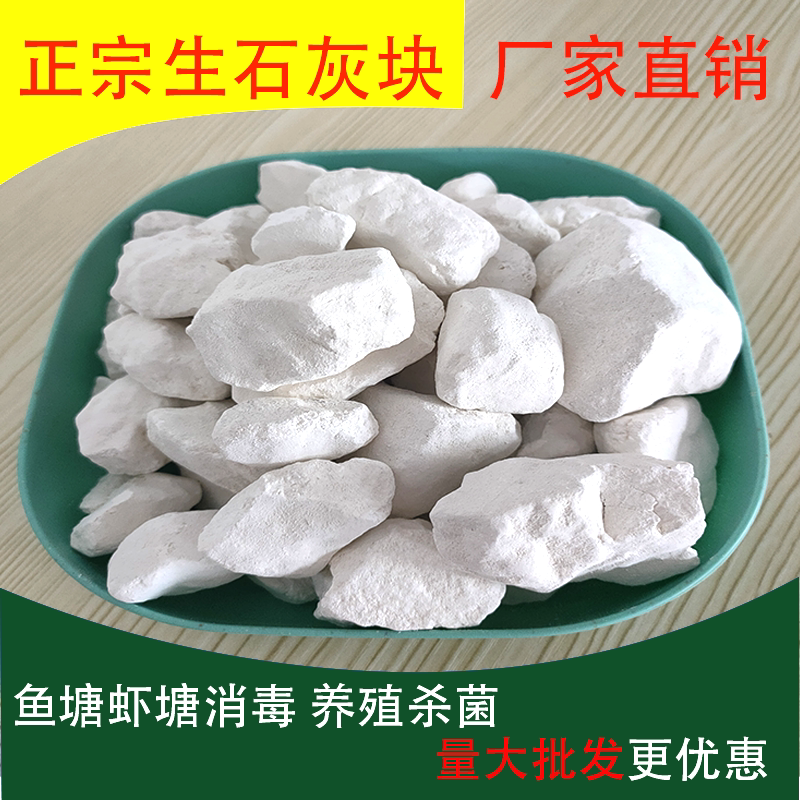 生石灰块粉虾塘鱼塘消毒改良土壤