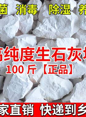 100斤生石灰块粉鱼塘消毒