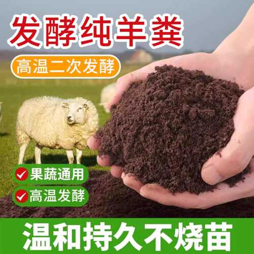 纯羊粪发酵有机肥腐熟种