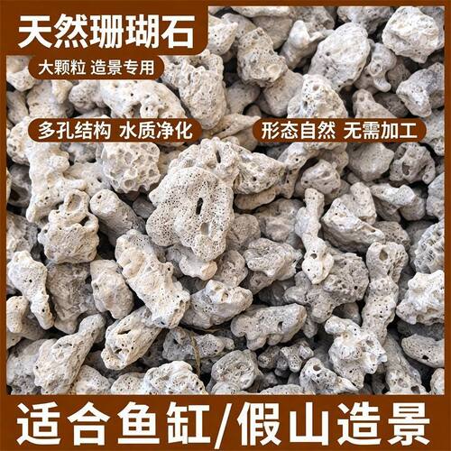 珊瑚砂过滤水族箱造景装