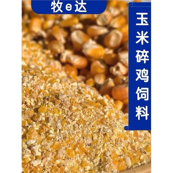 玉米碎鸡饲料喂鸡苞米茬