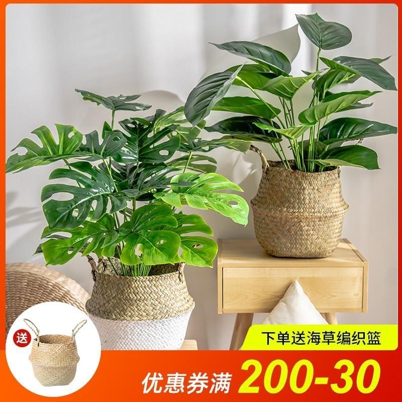 北欧风客厅彷真绿色植物龟背芋小盆栽假绿植摆件装饰假花彷真花摆