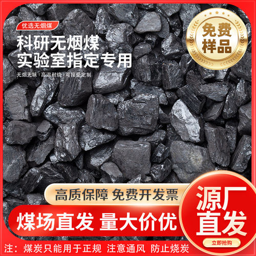 科研实验煤标本褐煤/无烟