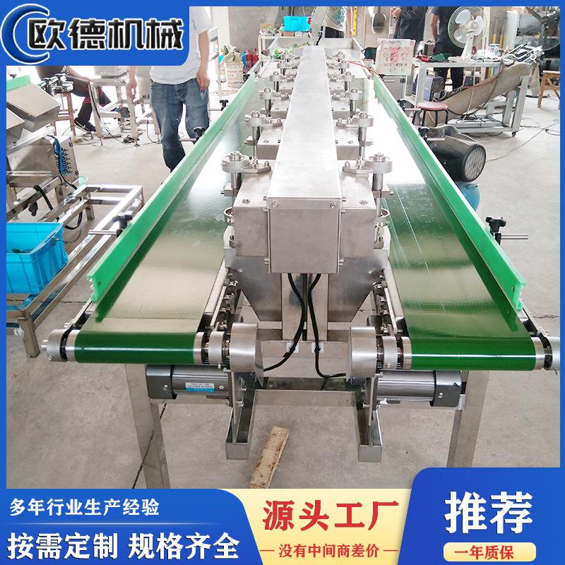 自动分选机鱼虾重量分级机海鲜鱼类称重分级使用操作方便分拣快