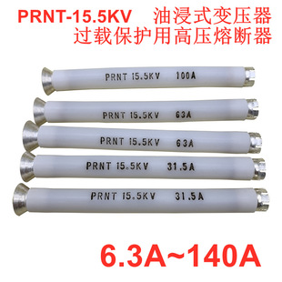 变压器过载保护用高压熔断器STR4 140A100A80A油浸式 PRNT 15.5KV