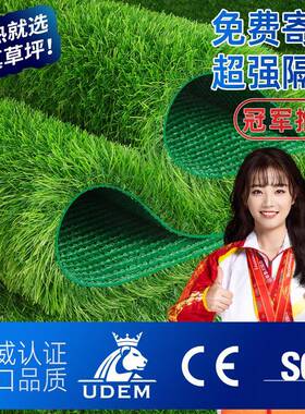 仿真草垫坪装隔饰铺垫幼儿园塑料地毯人工假草阳bzl80098台热户外