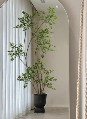 南天大型竹LKZ仿真绿植高端轻奢室内客落仿厅生植物地装饰花盆栽