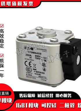 170M45144170M4515170M516102170M4517170M4518熔断器70M41519