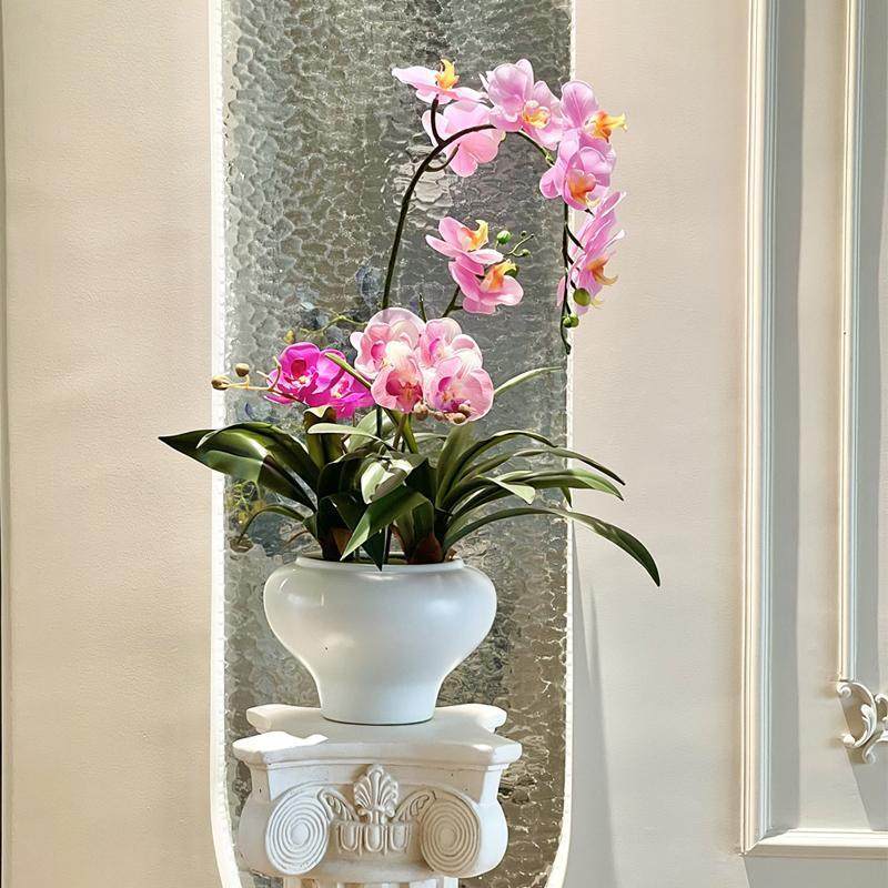 海虹景品湿蝴蝶兰真花感高品质盆栽摆奢设假花艺摆件ZQR客厅轻端