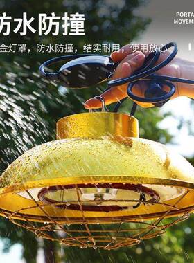 碳维保温灯仔灯猪用泡卤素保温AZT管鸡用纤取暖灯可调温加热取垒