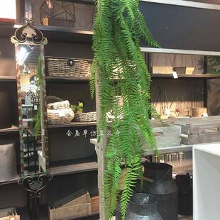 仿真类植叶物高端波斯垂挂绿植排草BTE蕨庆植物墙婚壁挂大把束蕨