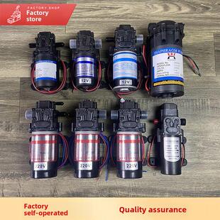 自动加水蒸汽锅炉专用抽水泵 兴沃白金龙伟杰汉明威盛泰原装配件