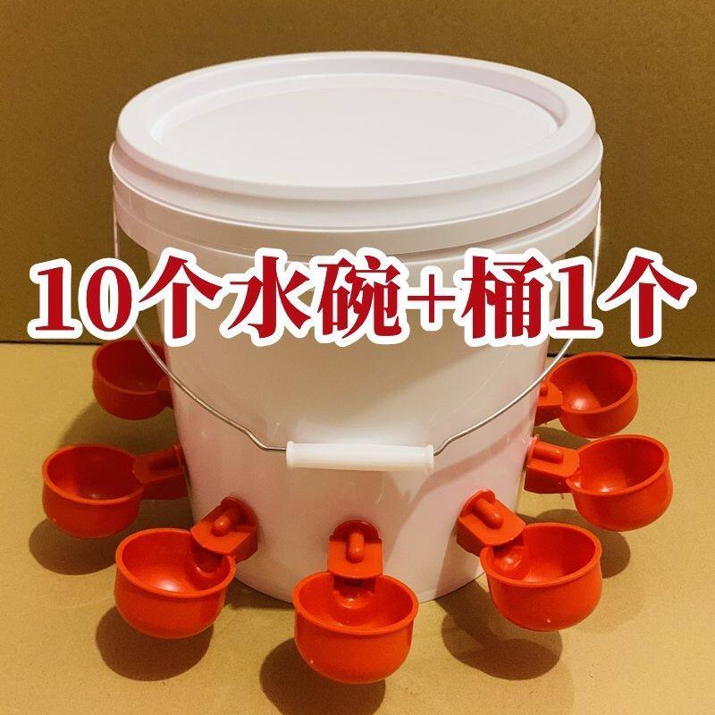 家禽自动饮水器鸽子养鸡