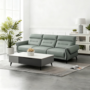 皇朝家居皮沙发头层牛皮客厅现代简约电动沙发头层牛皮沙发DS2519