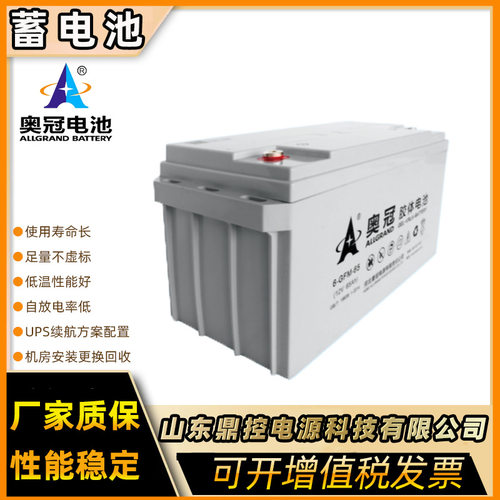 ALLGRAND奥冠6-GFM-100阀控密封式胶体蓄电池12V100AH安防系统用